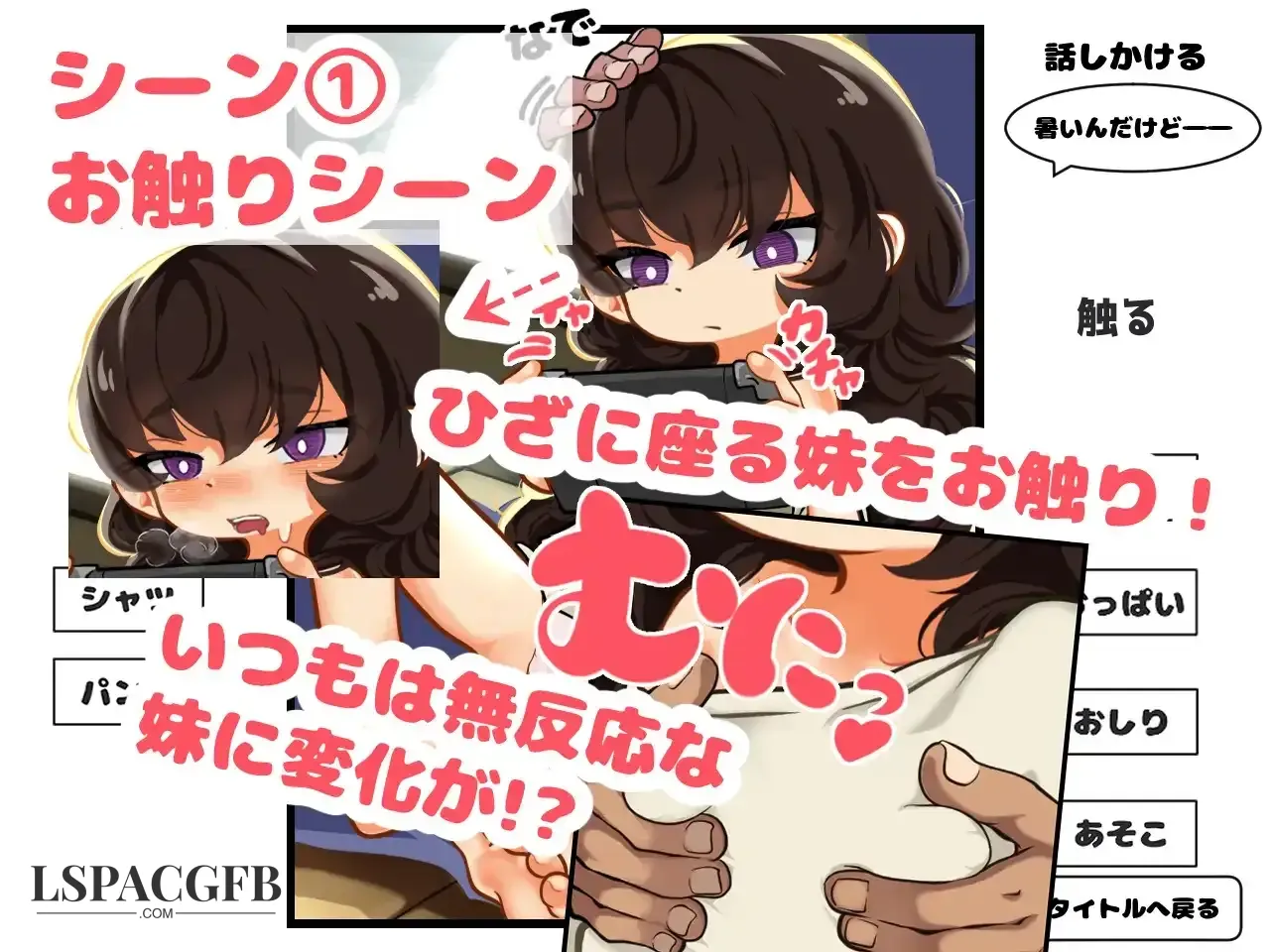 5.webp
