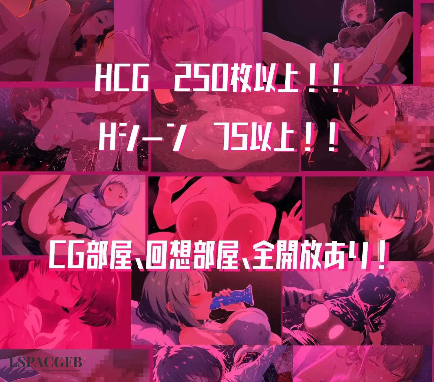 14.webp