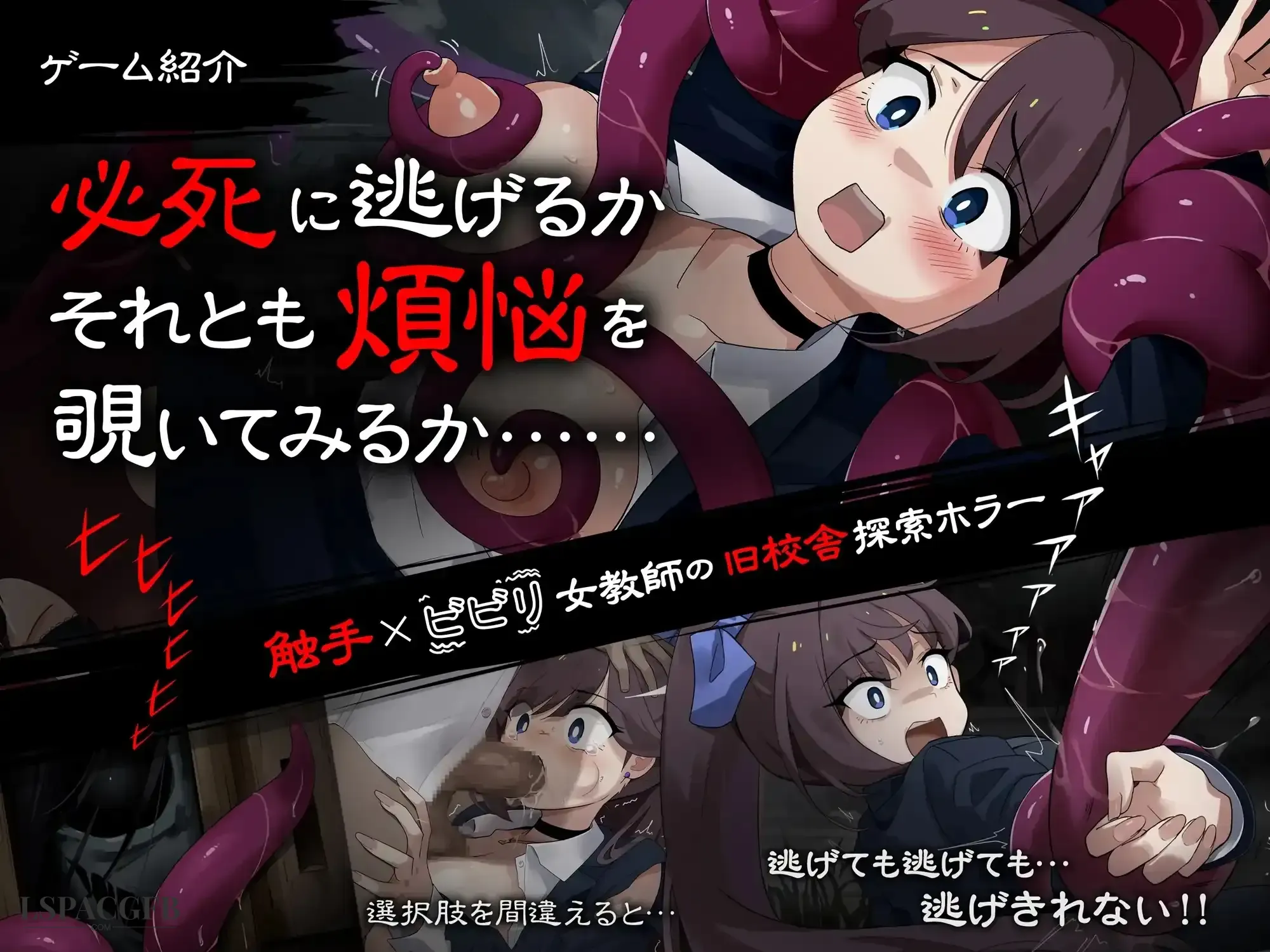 3.webp