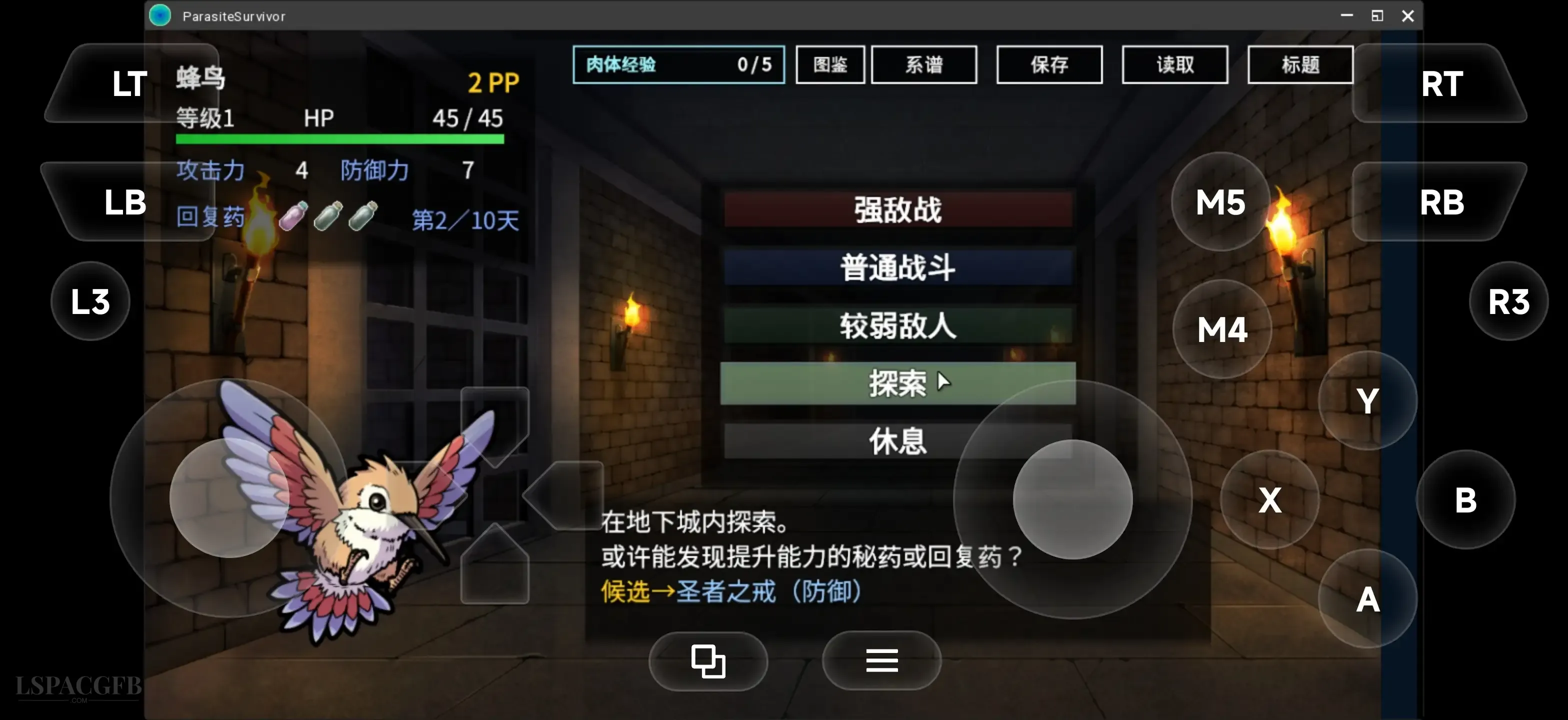 12.webp