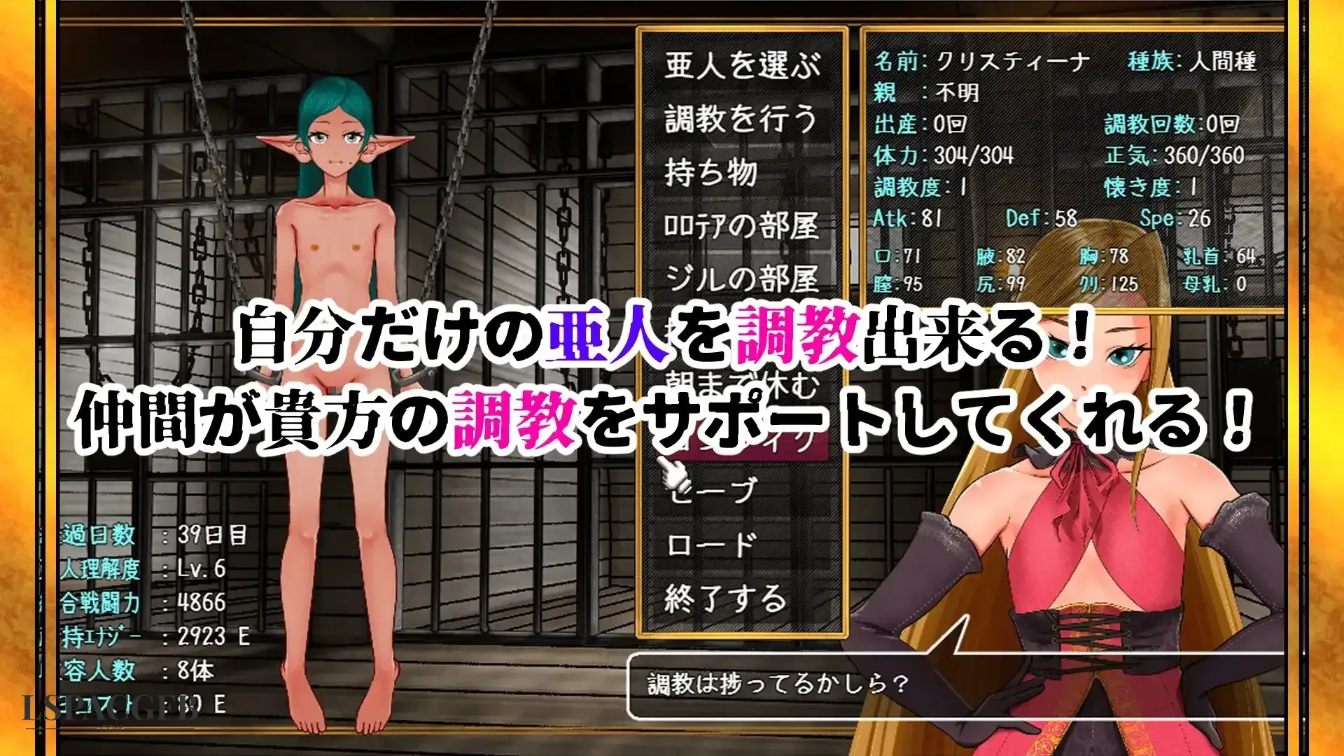 6.webp