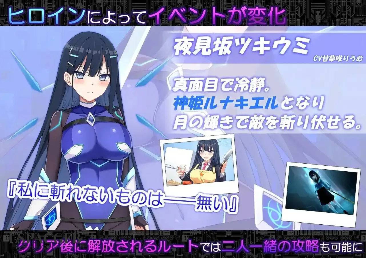 7.webp