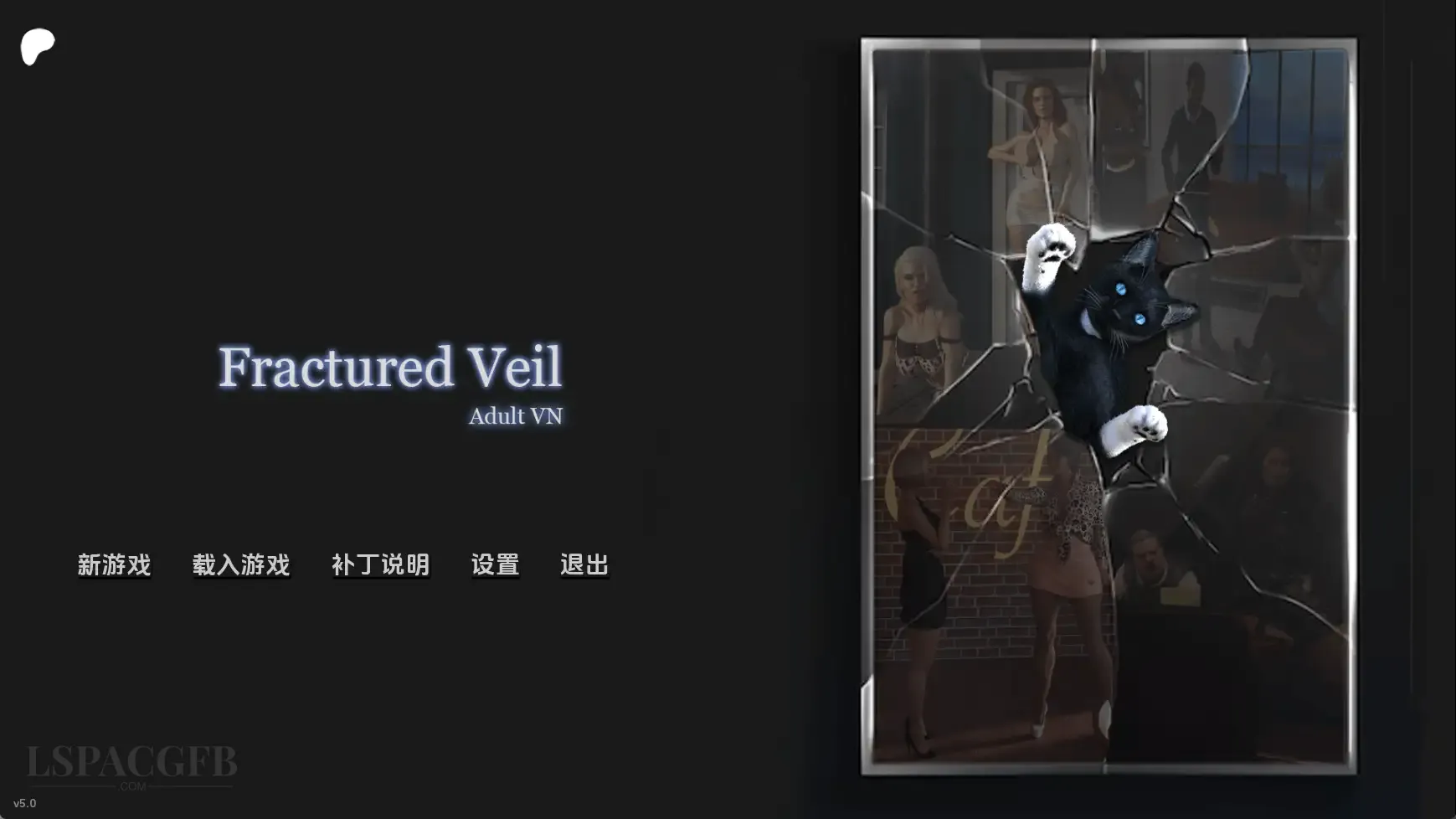 14.webp