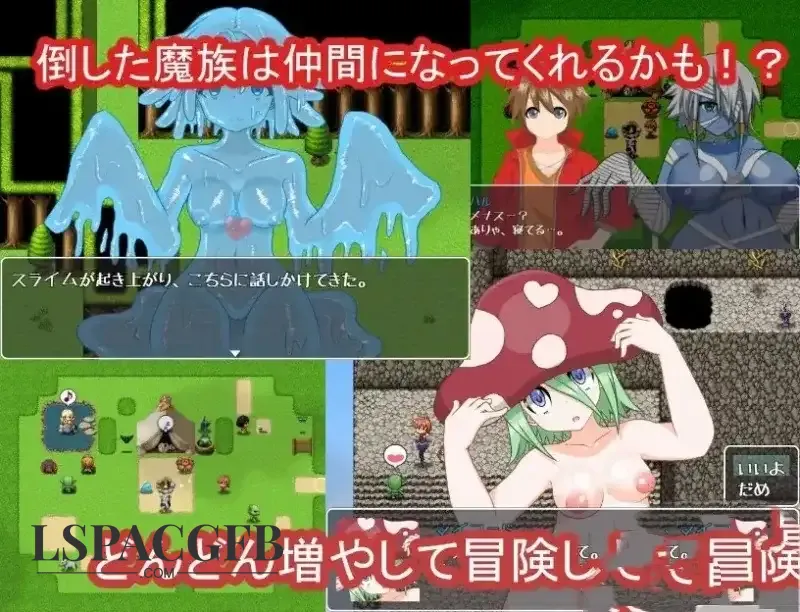 2.webp