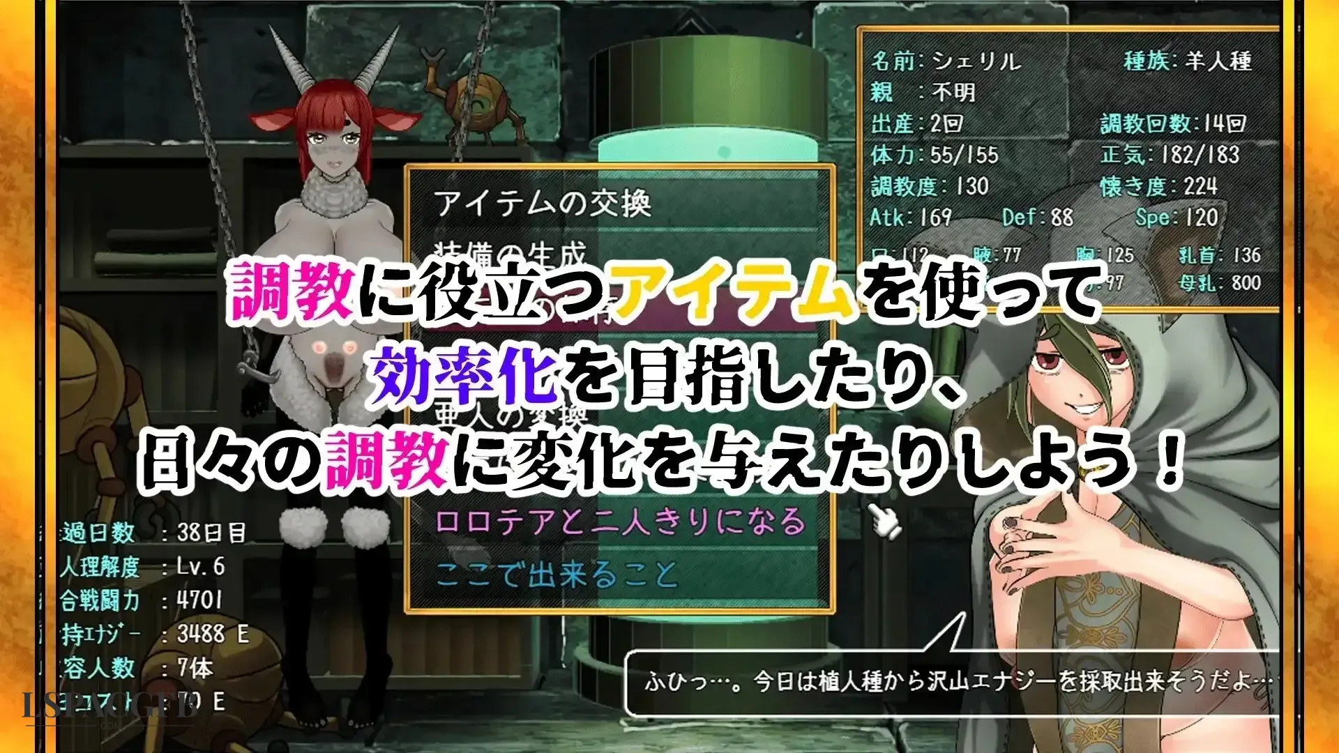 13.webp