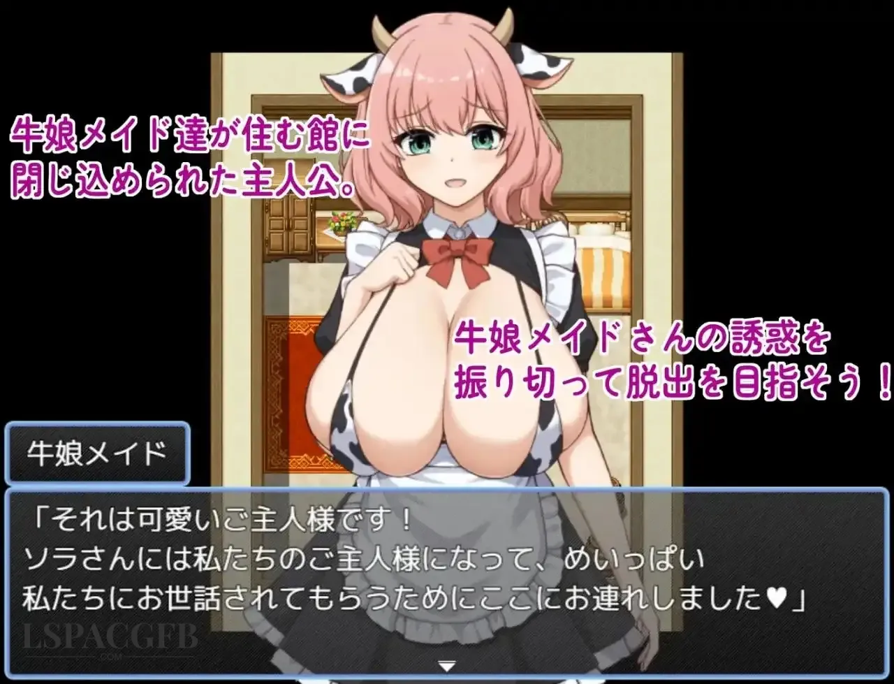 5.webp