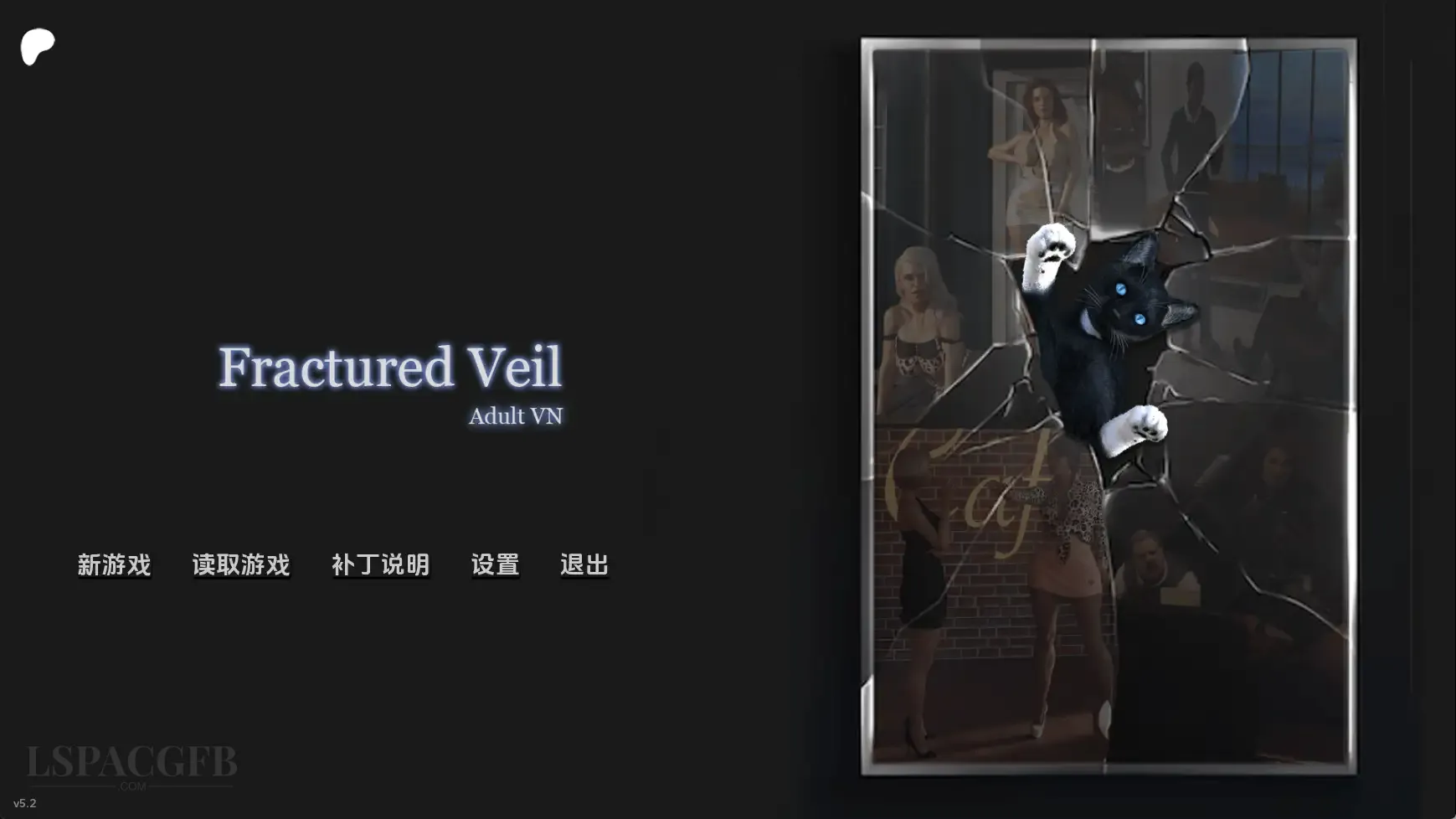 14.webp