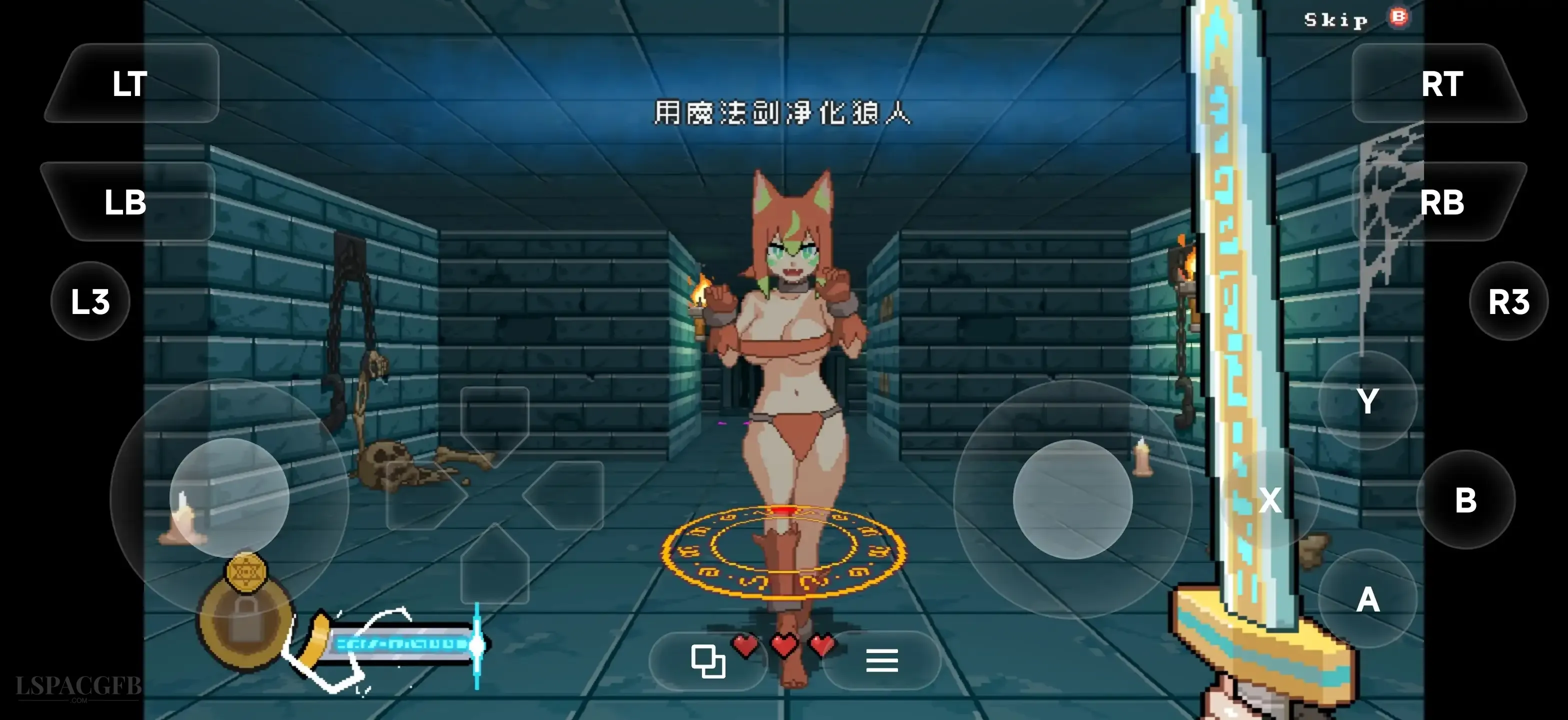 13.webp
