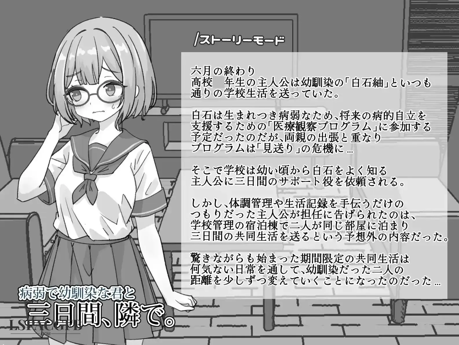 11.webp