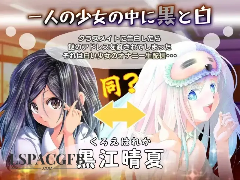 6.webp