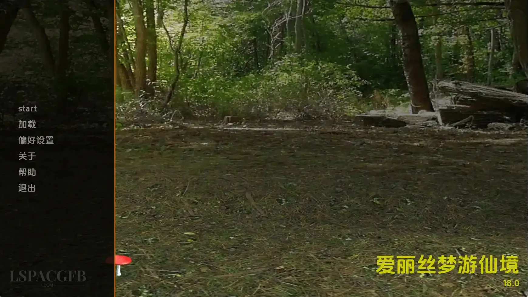 6.webp
