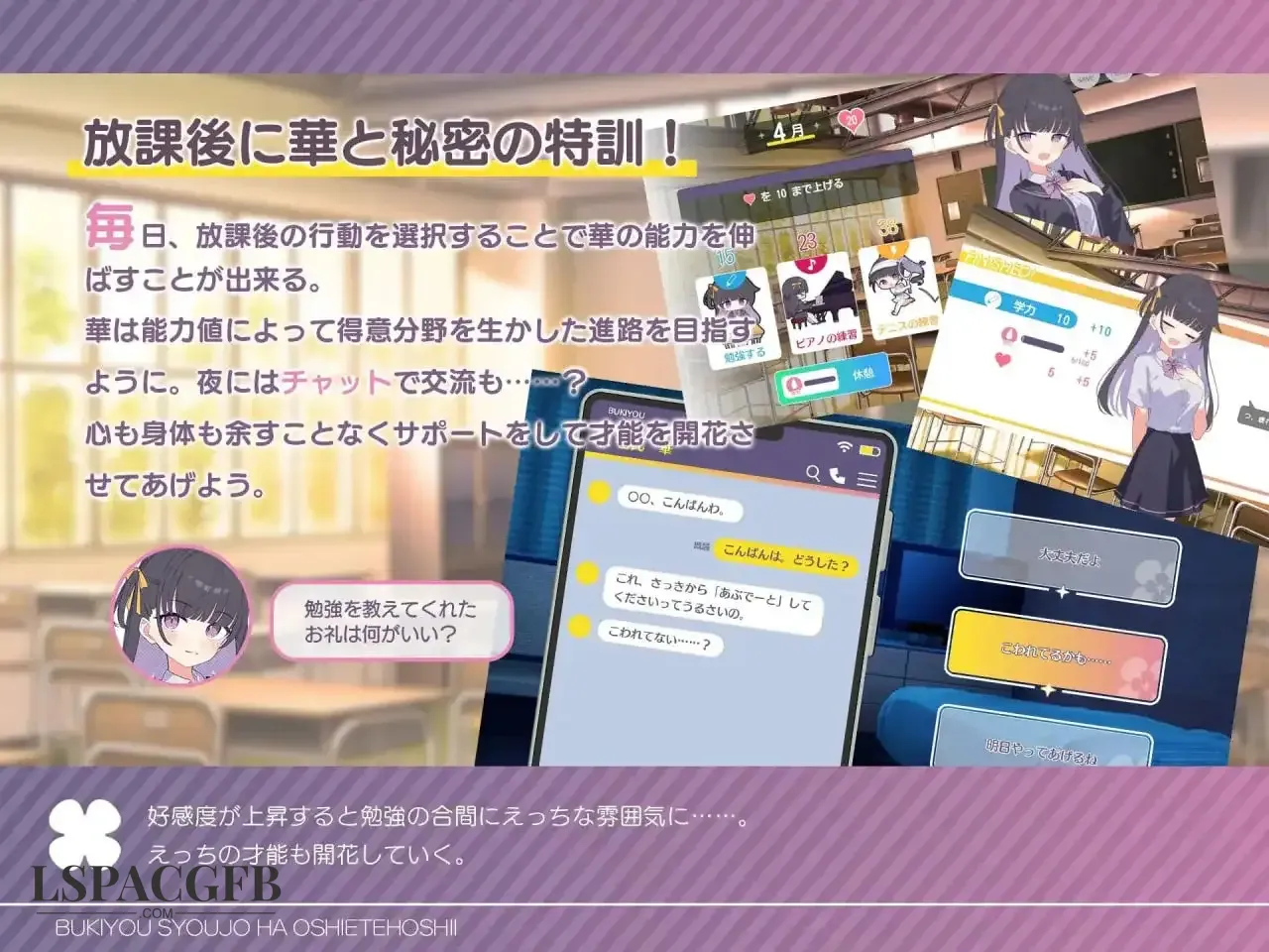 11.webp