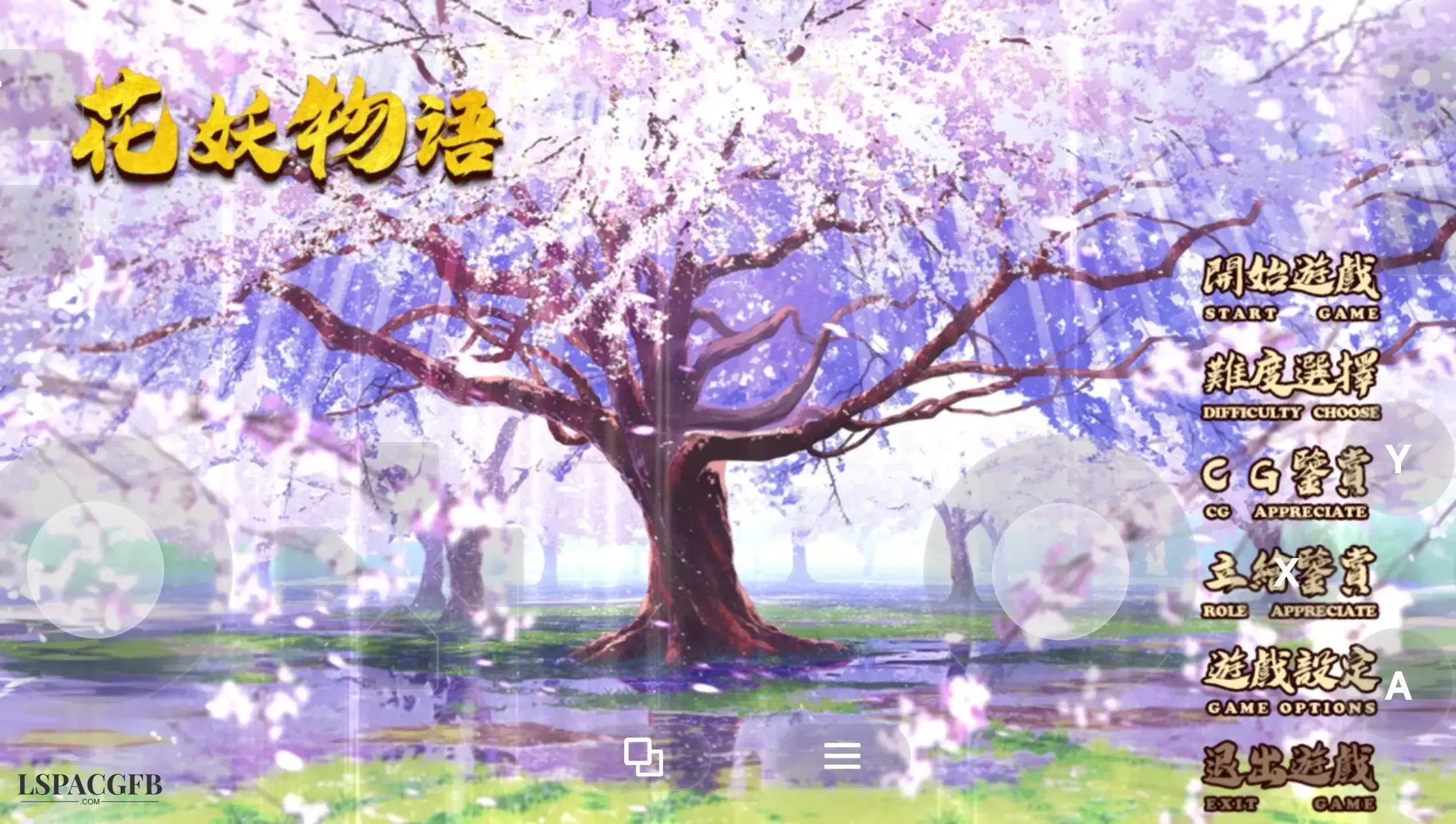 14.webp