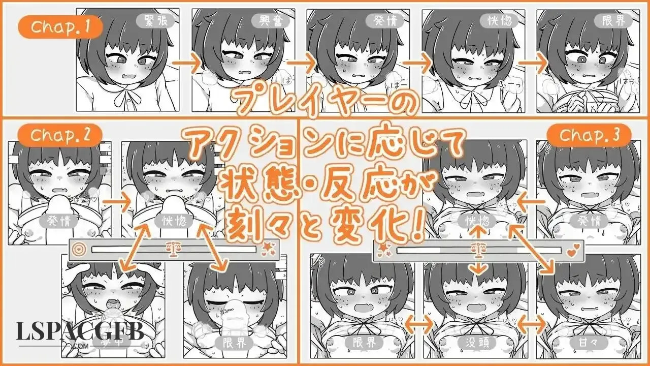 9.webp