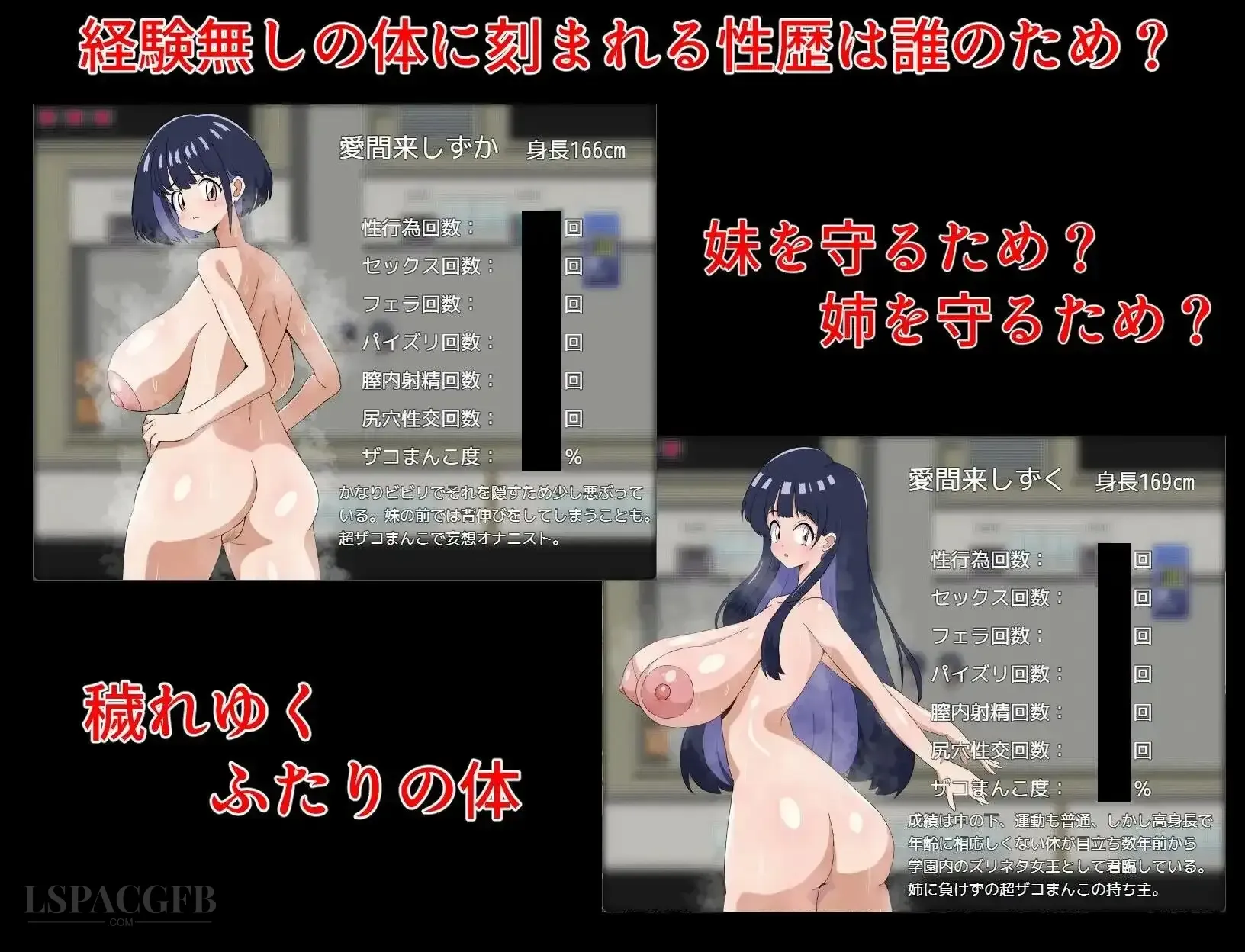 5.webp