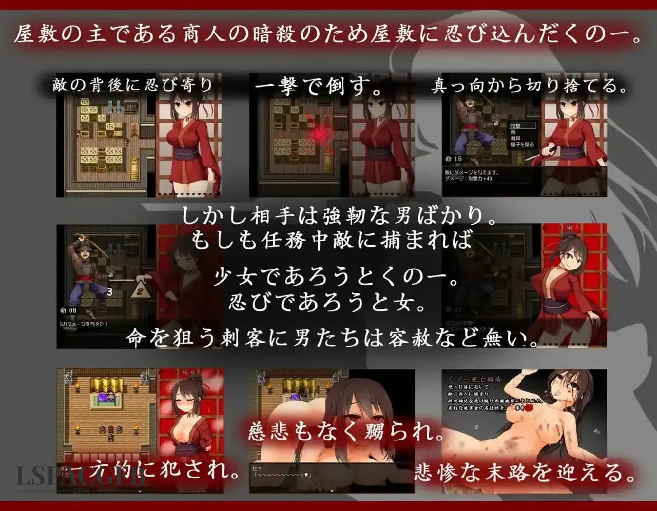 8.webp