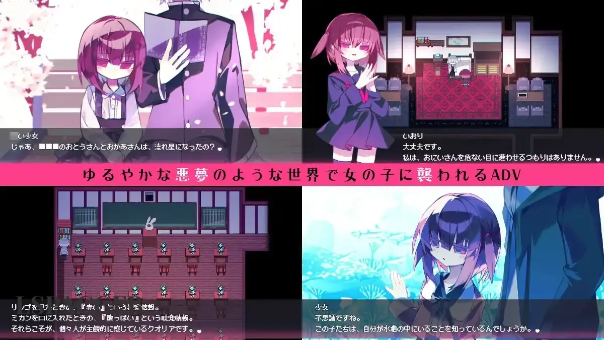 7.webp