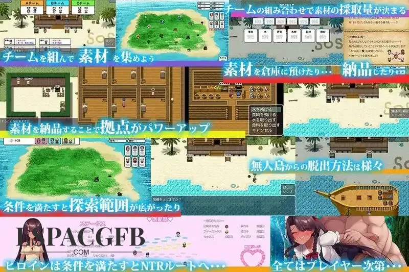 12.webp