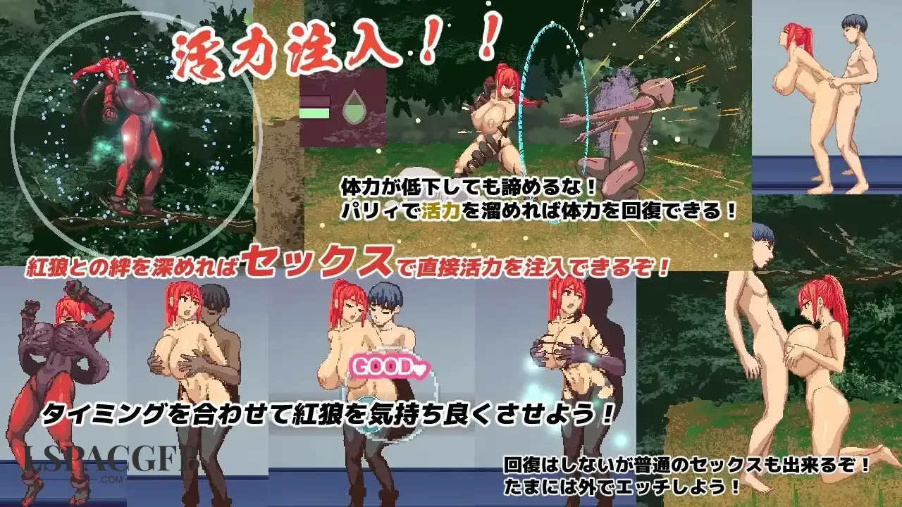 9.webp