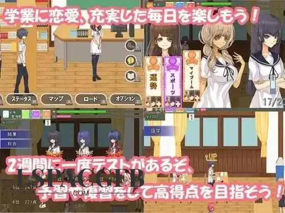 4.webp