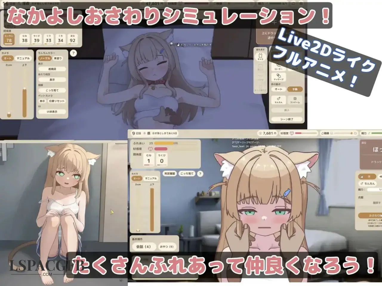 2.webp