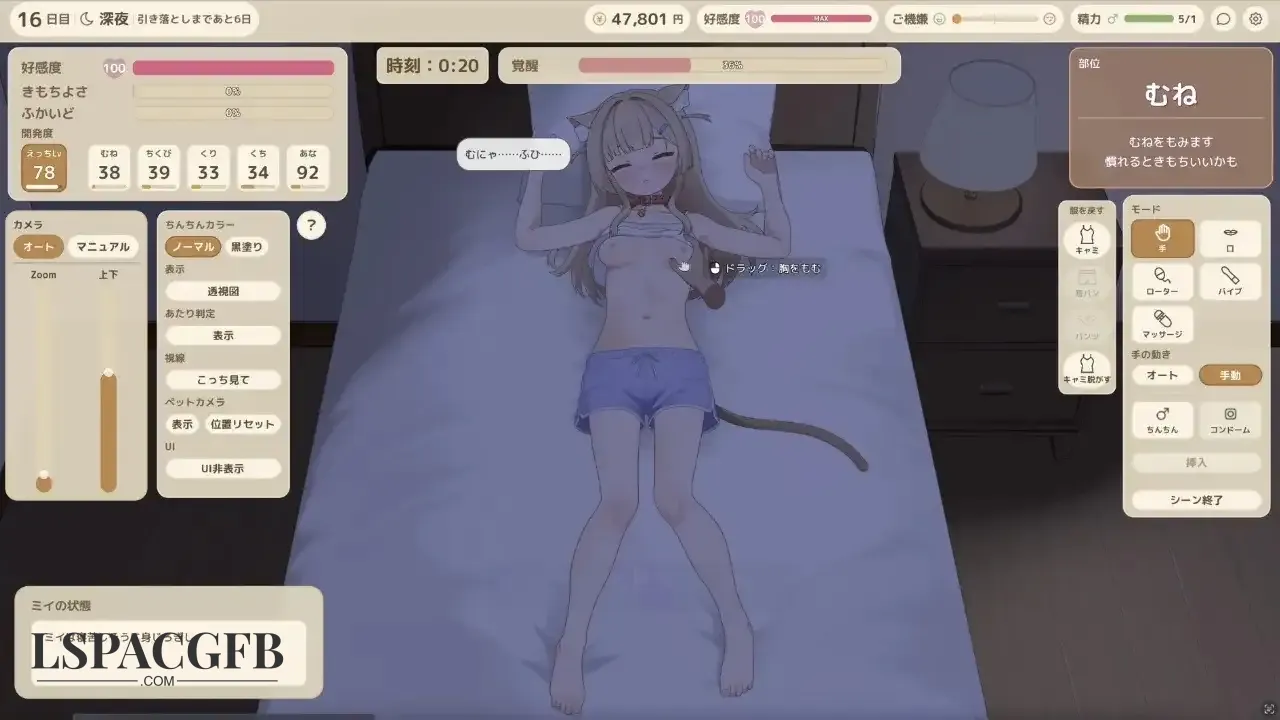 4.webp