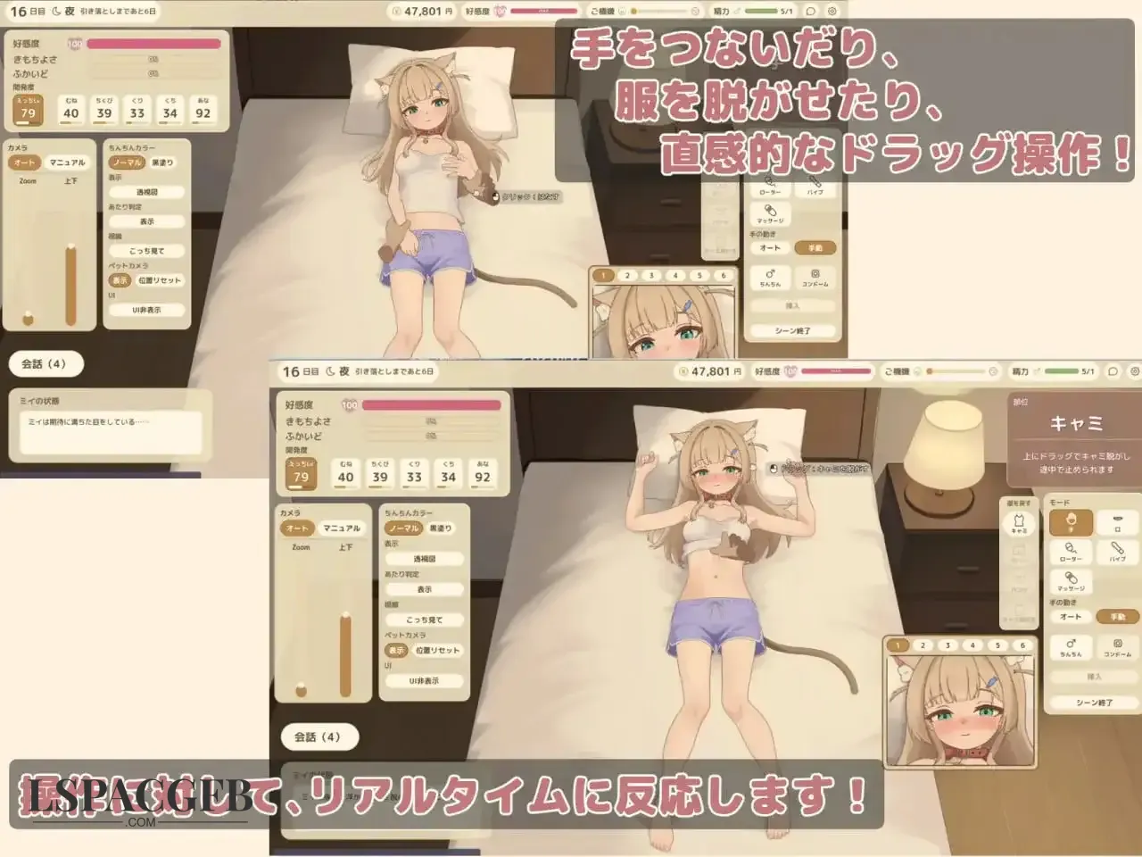 5.webp