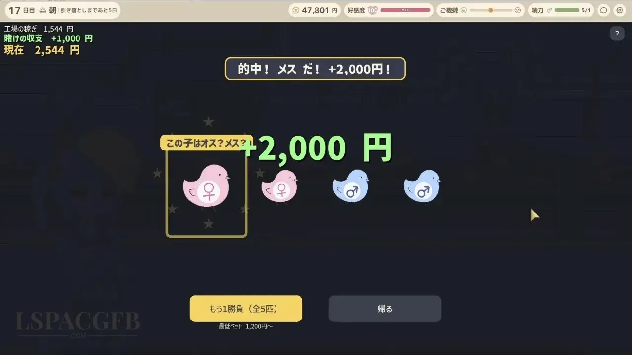 7.webp
