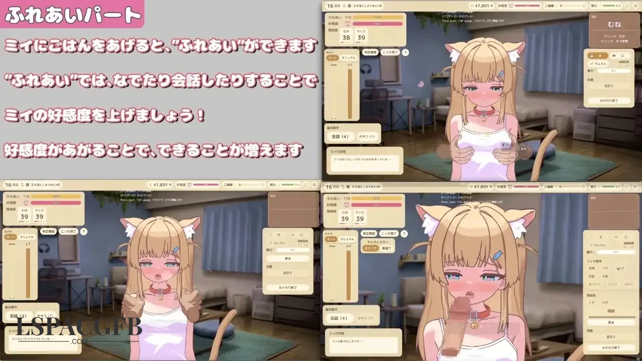 9.webp