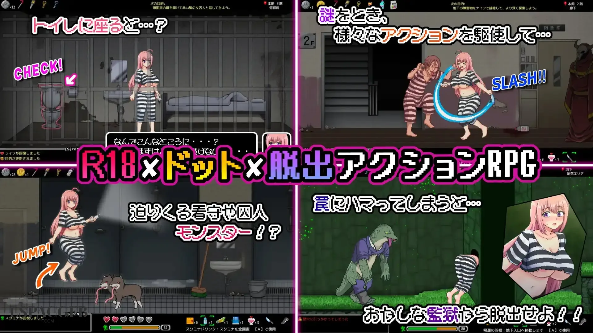 12.webp