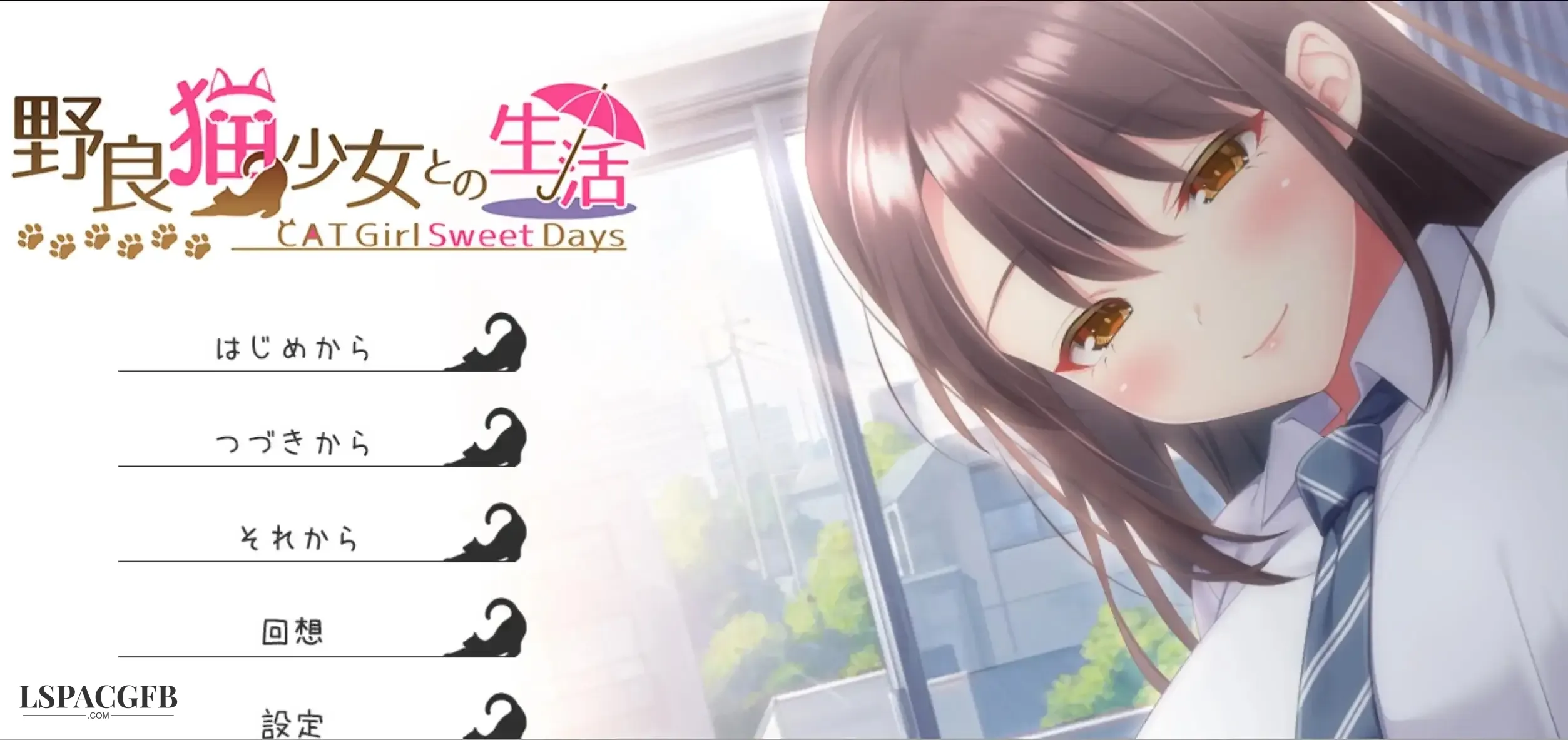 13.webp