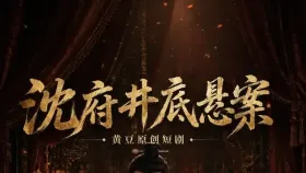 沈府密事10集