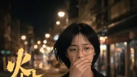 火树银花3集