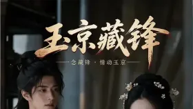 玉京藏锋10集