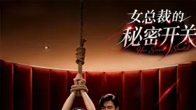 女总裁的秘密开关10集