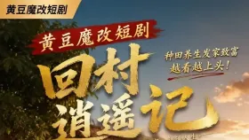 回村逍遥记10集