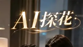 AI探花续集1集