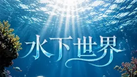 水下世界1集
