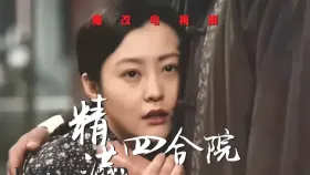 魔改电视剧《情满四合院》重制版完整版11分钟 黎姿 佘诗曼1集