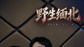野生缅北10集