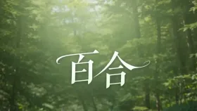 百合1集
