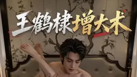 王鹤棣增大术1集