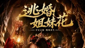 逃婚姐妹花2集