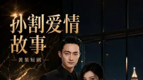 孙割爱情故事2集